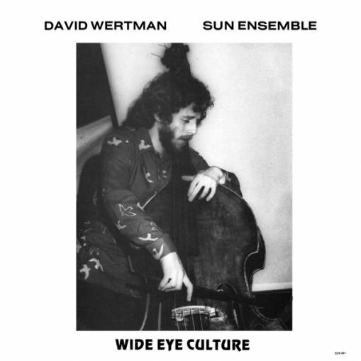 Okładka David Wertman & Sun Ensemble - Wide Eye Culture DELUXE EDITION