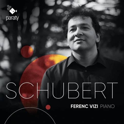 Okładka Schubert - Ferenc Vizi