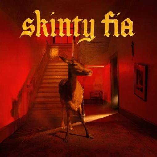 Okładka Fontaines D.C. - Skinty Fia LP BLACK