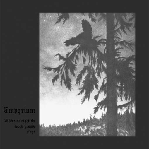 Okładka Empyrium - Where At Night The Wood Grouse Plays