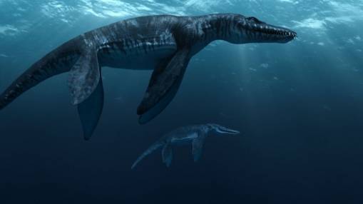 Sea Rex 3D Podróż Do Prehistorycznego Świata [NM]