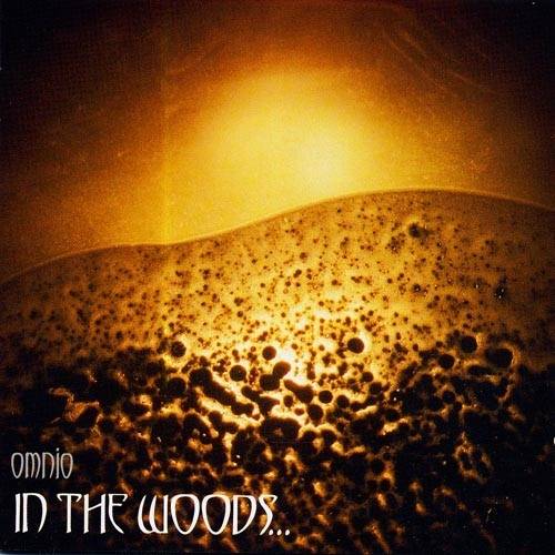 Okładka In The Woods - Omnio