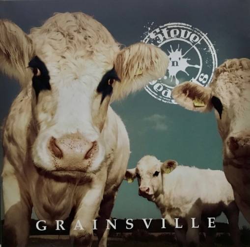 Okładka Steve N Seagulls - Grainsville LP
