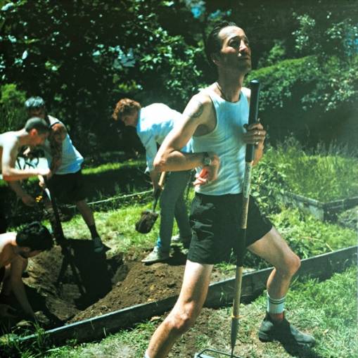 Okładka Tara Nome Doyle - Ekko