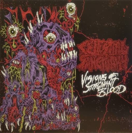 Okładka Celestial Sanctuary - Visions of Stagnant Blood EP RED GREEN