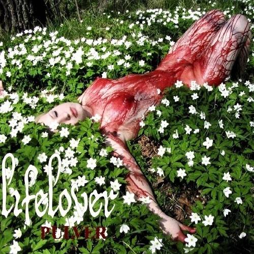 Okładka Lifelover - Pulver