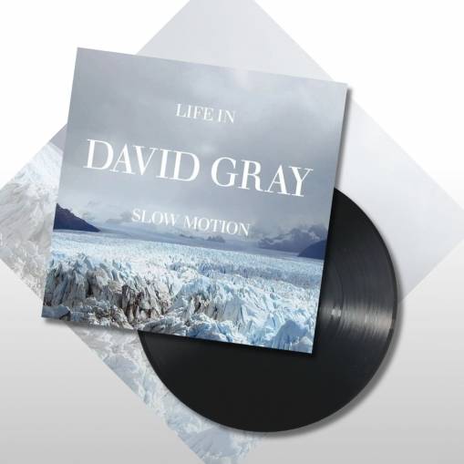 Okładka Gray, David - Life In Slow Motion 20th Anniversary LP BLACK