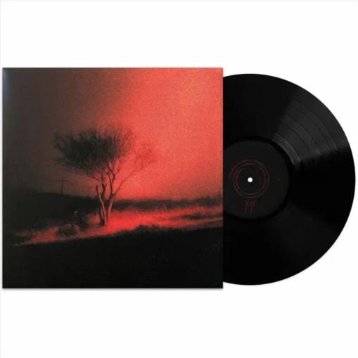 Okładka Joji - Piss In The Wind LP BLACK