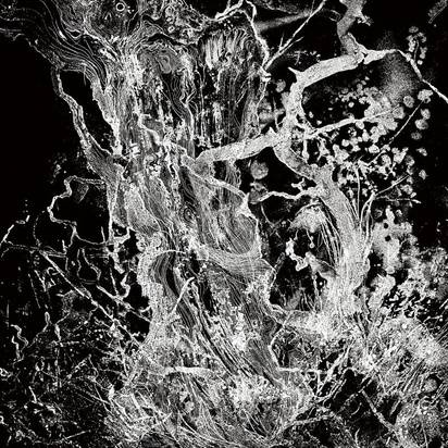 Okładka Bruit - Monolith