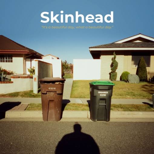 Okładka Skinhead - It's A Beautiful Day What A Beautiful Day