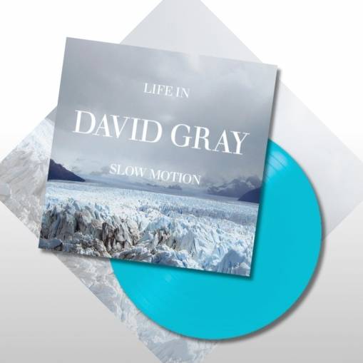 Okładka Gray, David - Life In Slow Motion 20th Anniversary LP BLUE