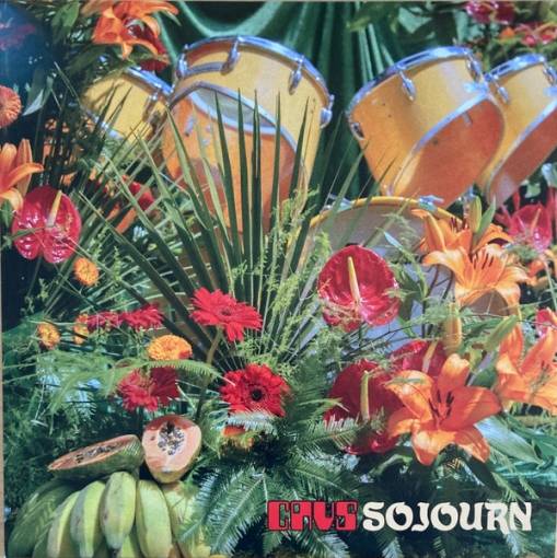 Okładka Cavs - Sojourn LP ORANGE