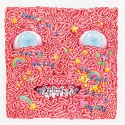 Okładka Ronker - Fear Is A Funny Thing Now Smile Like A Big Boy