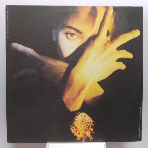 Okładka Terence Trent D'Arby - Terence Trent D'arby's Neither Fish Nor Flesh: A Soundtrack Of Love, Faith, Hope And Destruction (LP) [EX]