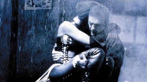 BODYGUARD (BD) PREMIUM COLLECTION