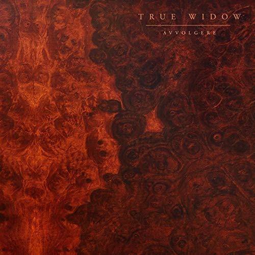 Okładka True Widow - Avvolgere