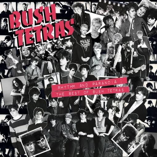 Okładka Bush Tetras - Rhythm And Paranoia The Best Of Bush Tetras LP