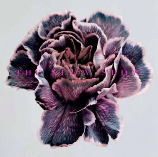 Okładka The Slow Show - Still Life LP