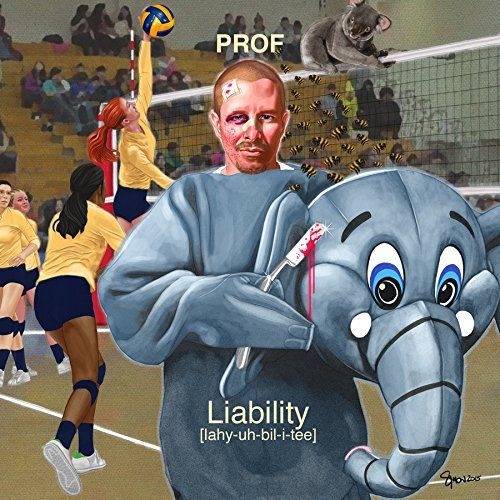 Okładka Prof - Liability