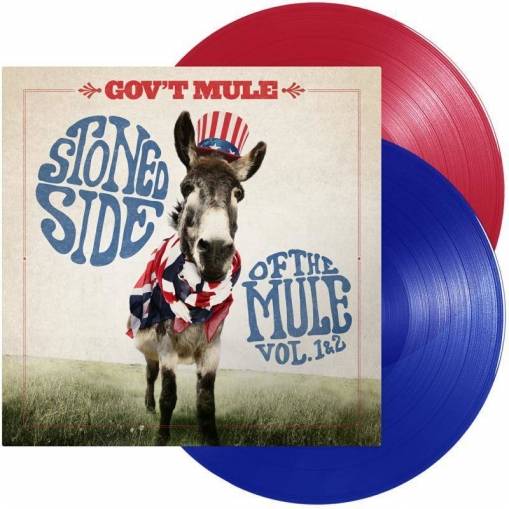 Okładka Gov't Mule - Stoned Side Of The Mule LP COLORED