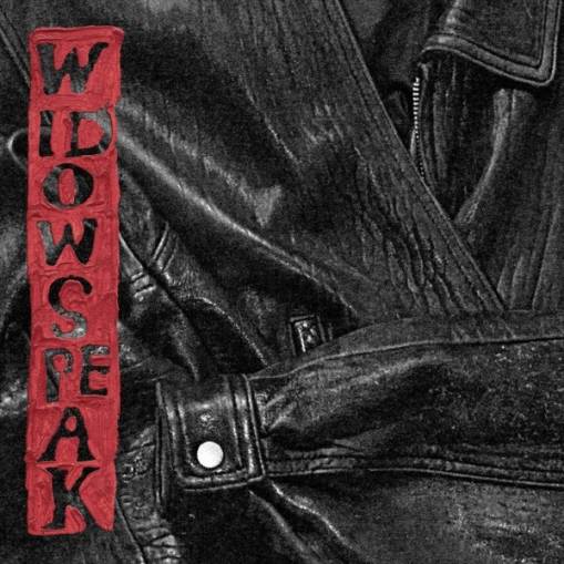 Okładka Widowspeak - The Jacket