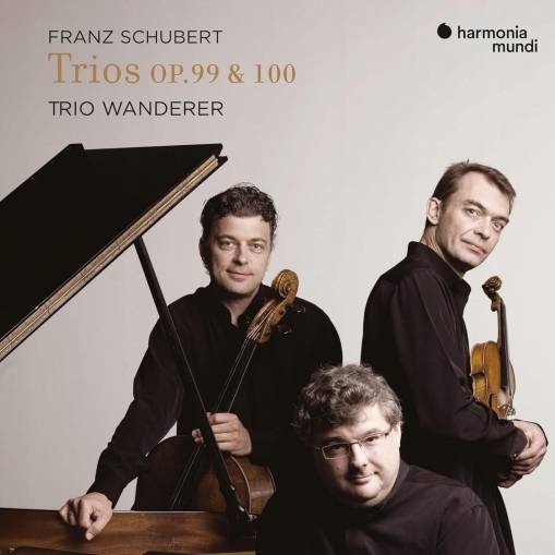 Okładka Schubert - Piano Trios Nos 1 & 2 Notturno & Sonatensatz Trio Wanderer