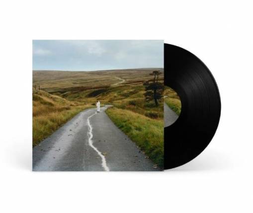 Okładka JORDAN RAKEI - THE LOOP (2LP BLACK)