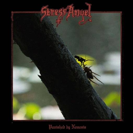 Okładka Stress Angel - Punished by Nemesis