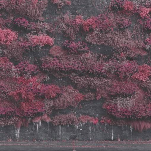 Okładka Sleep Token - Even In Arcadia