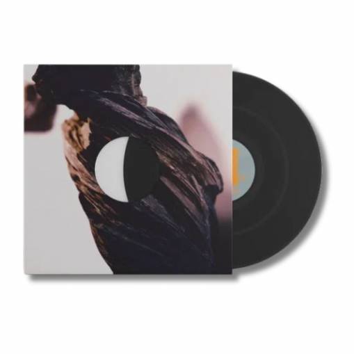 Okładka THE PIXIES - THE NIGHT THE ZOMBIES CAME (LP)