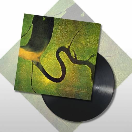 Okładka DEAD CAN DANCE - The Serpent's Egg