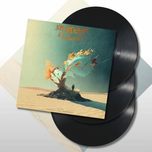 Okładka Anderson, Jon - Live - Perpetual Change LP