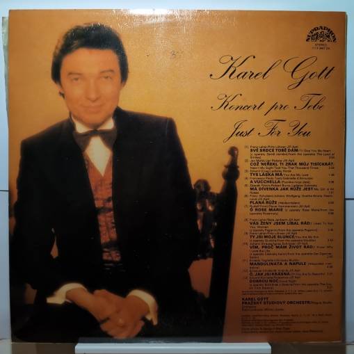 Koncert Pro Tebe = Just For You (LP) [EX]