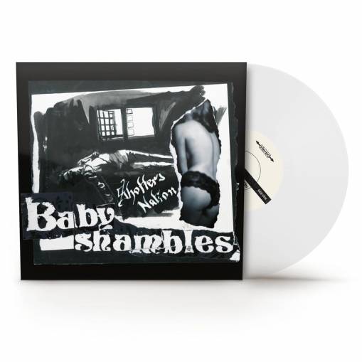 Okładka BABYSHAMBLES - SHOTTER'S NATION (LIMITED CLEAR VINYL)
