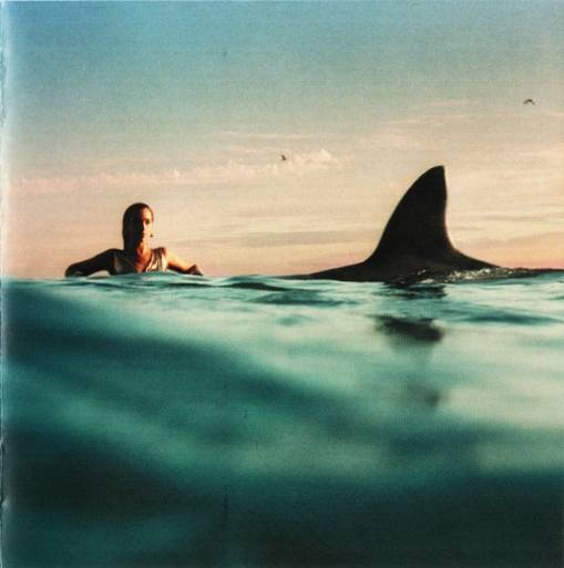 Okładka LIPA, DUA - RADICAL OPTIMISM