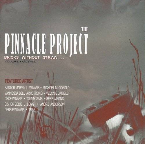 Okładka The Pinnacle Project - Bricks Without Straw... volume 1 Gospel [EX]