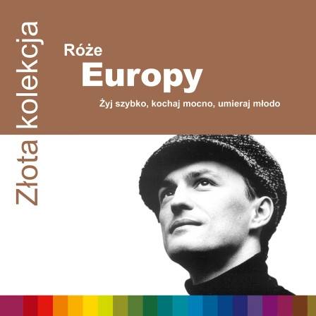 Okładka ROZE EUROPY - ZLOTA KOLEKCJA