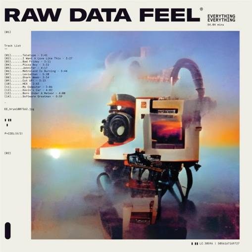 Okładka Everything Everything - Raw Data Feel LP PINK INDIE