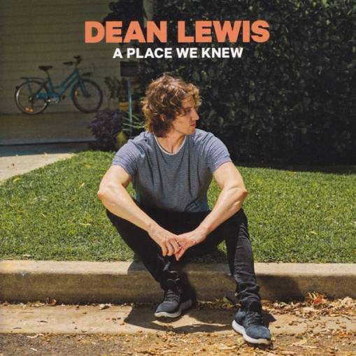 Okładka LEWIS, DEAN - A PLACE WE KNEW