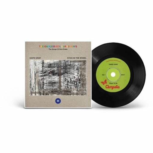 Okładka David Gray Stick In The Wheel - The Endless Coloured Ways The Songs Of Nick Drake VINYL EP