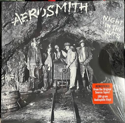 Okładka AEROSMITH - NIGHT IN THE RUTS (LP)