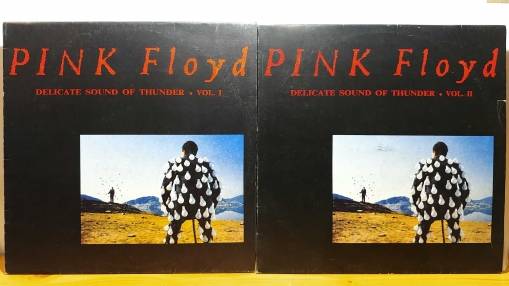 Okładka Pink Floyd - Delicate Sound of Thunder (VOL. 1 + VOL. 2) [NM]