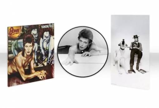 Okładka BOWIE, DAVID - DIAMOND DOGS (PICTURE VINYL)