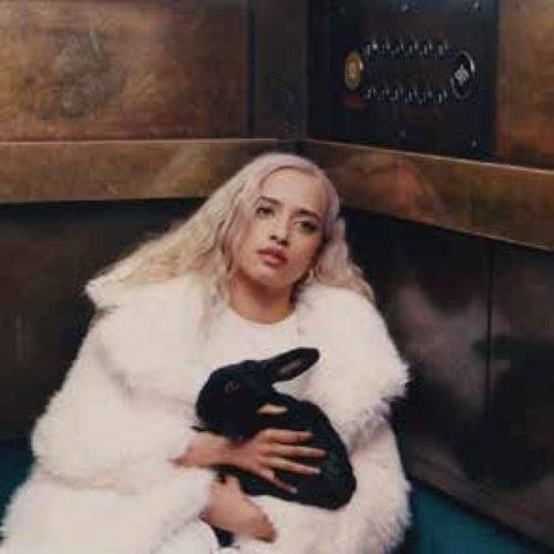 Okładka Lea Sen - Levels LP PINK