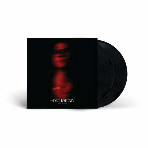 Okładka KUSHNER, DAVID - THE DICHOTOMY (2LP)