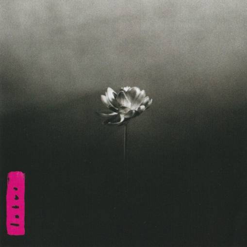 Okładka Little Simz - Lotus