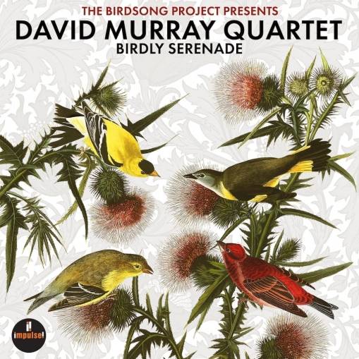 Okładka DAVID MURRAY QUARTET - BIRDLY SERENADE