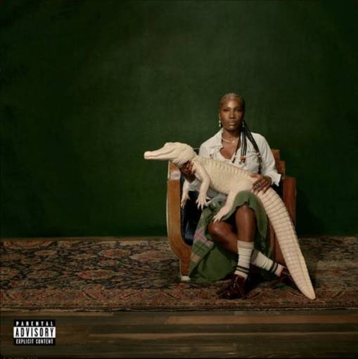 Okładka DOECHII - ALLIGATOR BITES NEVER HEAL (LP GOLD) LIMITED