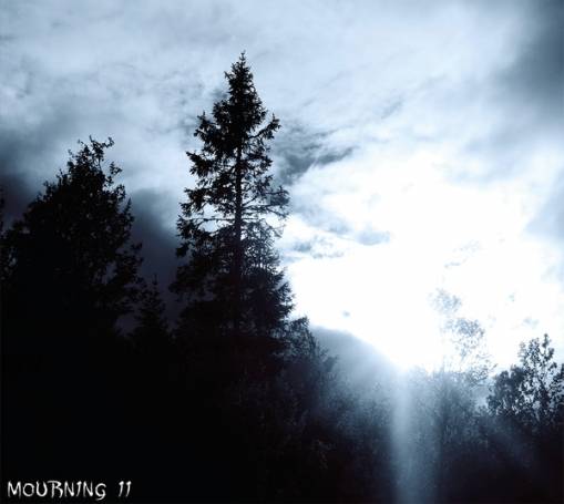 Okładka Nightbearer - Defiance