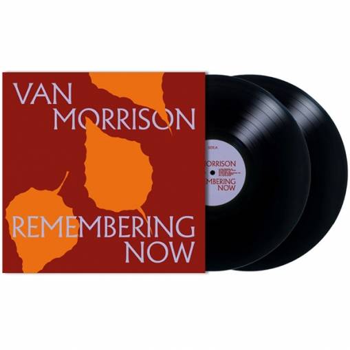 Okładka Van Morrison - Remembering Now LP BLACK